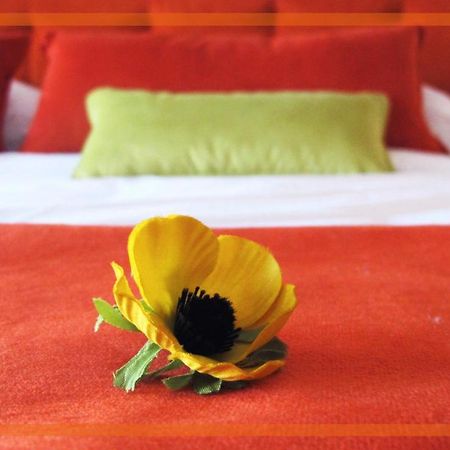 Medrano Kind Apartment Buenos Aires Ngoại thất bức ảnh