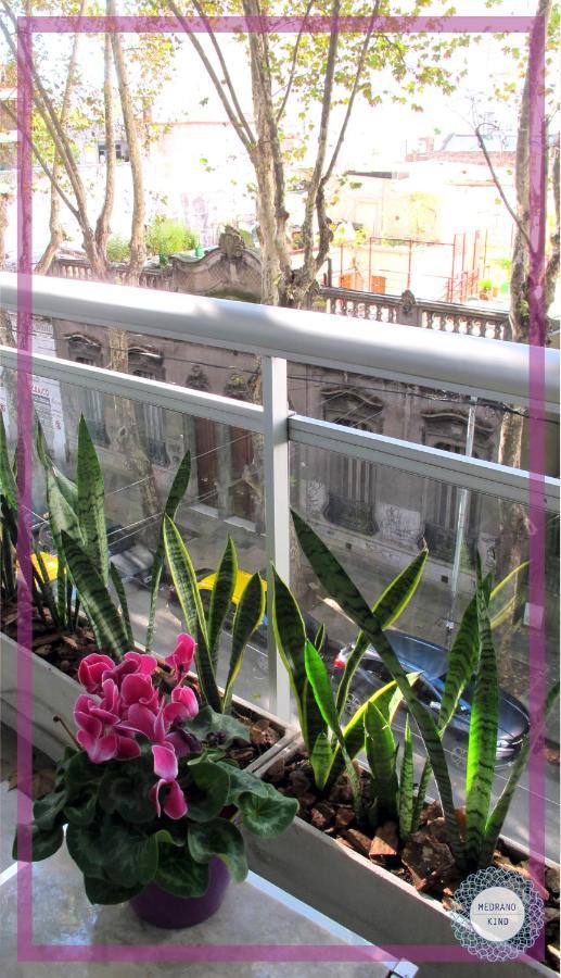 Medrano Kind Apartment Buenos Aires Ngoại thất bức ảnh